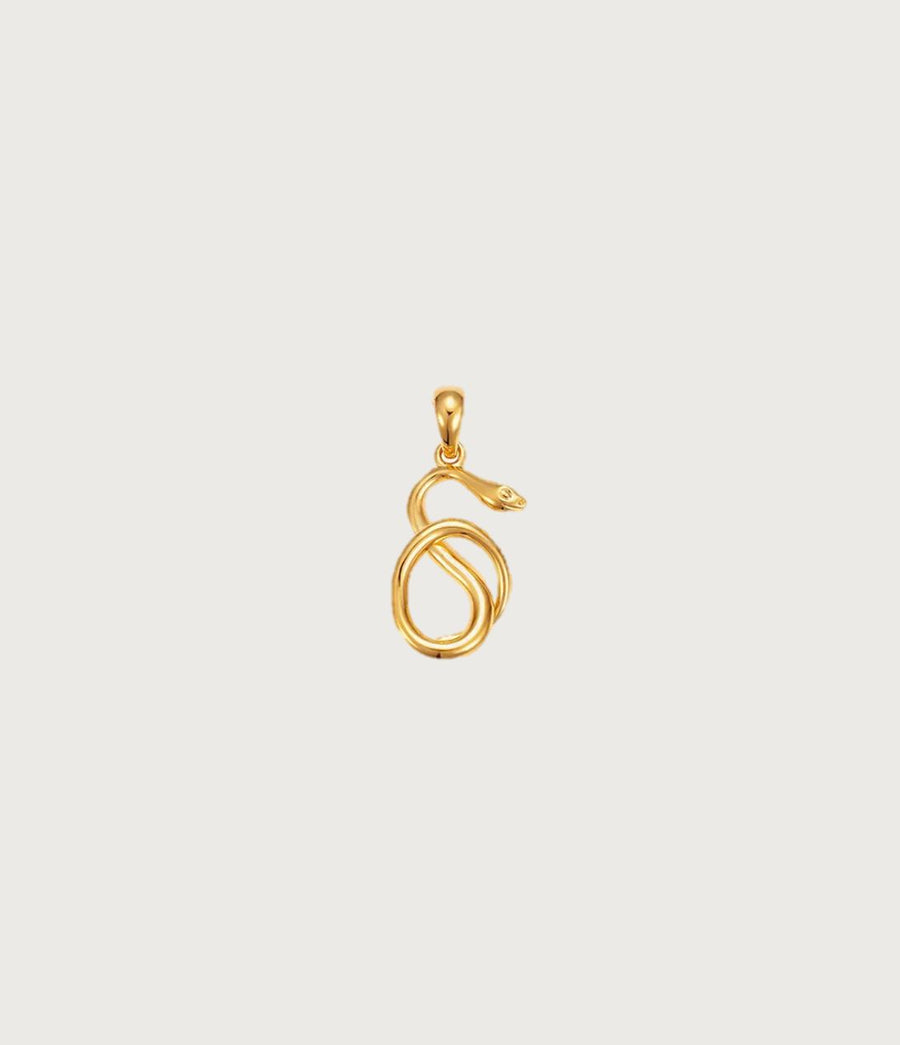 Snake Gold Pendant