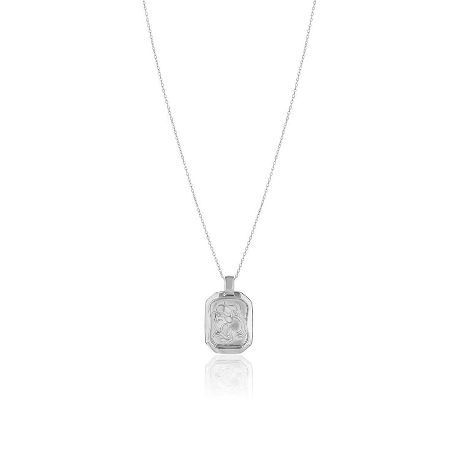Aquarius Pendant Zodiac Birthstone Necklace in Silver