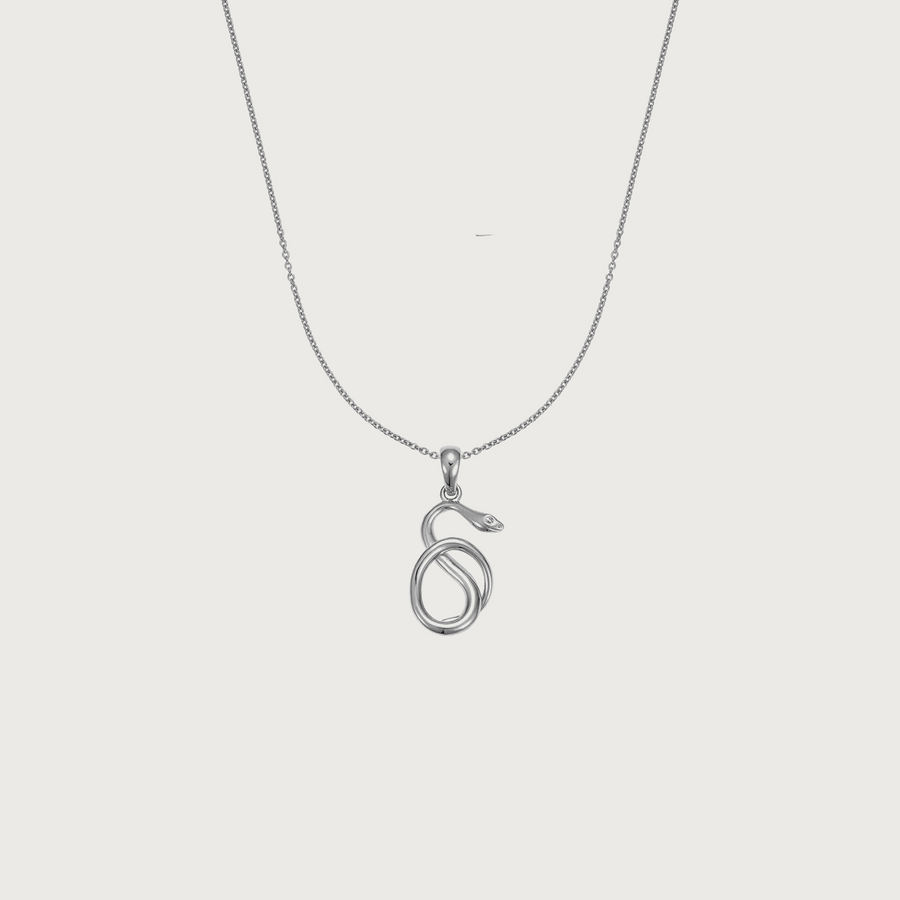 Snake Silver Pendant Necklace